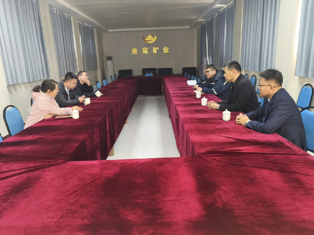 招金集團(tuán)深入金寶礦業(yè)開(kāi)展財(cái)務(wù)專(zhuān)項(xiàng)調(diào)研